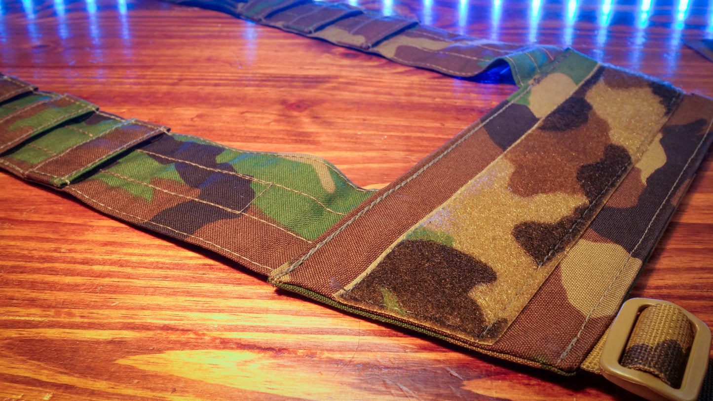 The SAUL H-Harness
