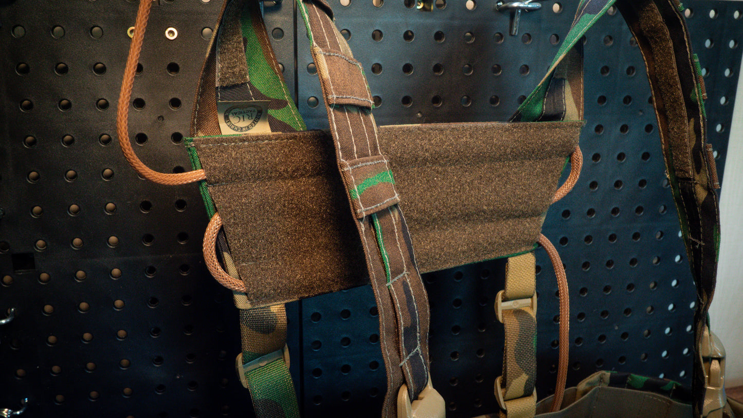 The SAUL H-Harness